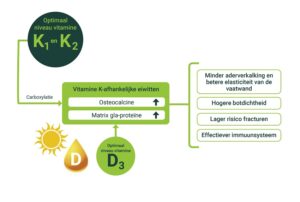 Vitamine D3 en K2