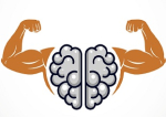 creatine-spieren-hersenen