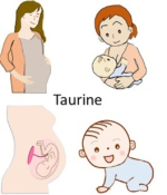 seafood-taurine-zwanger