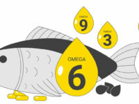 Juiste omega-3- en -6-verhouding vertraagt prostaatkanker